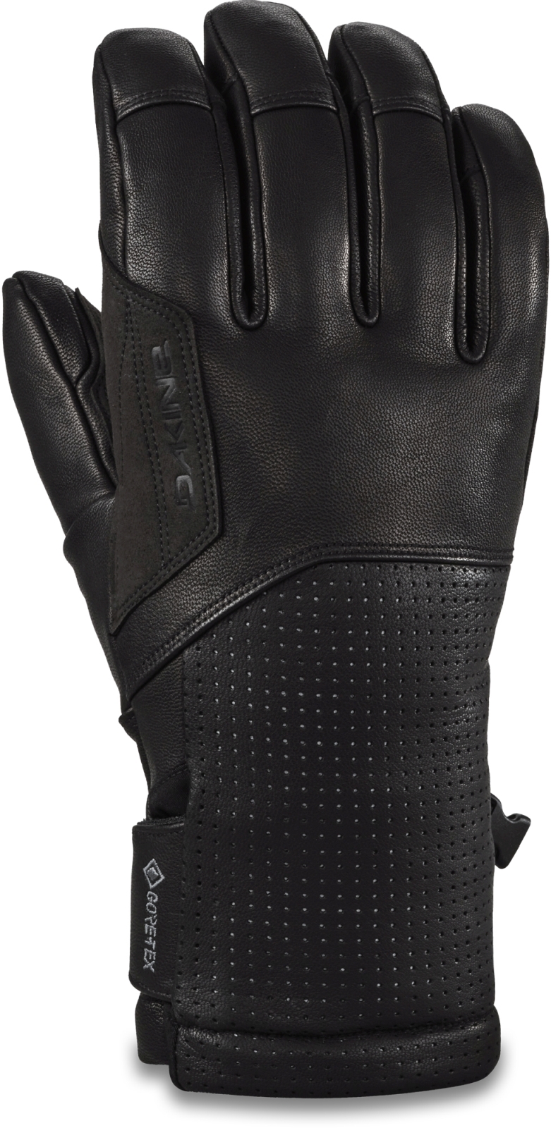 E-shop Dakine Kodiak Gore-Tex Glove - black 8.5